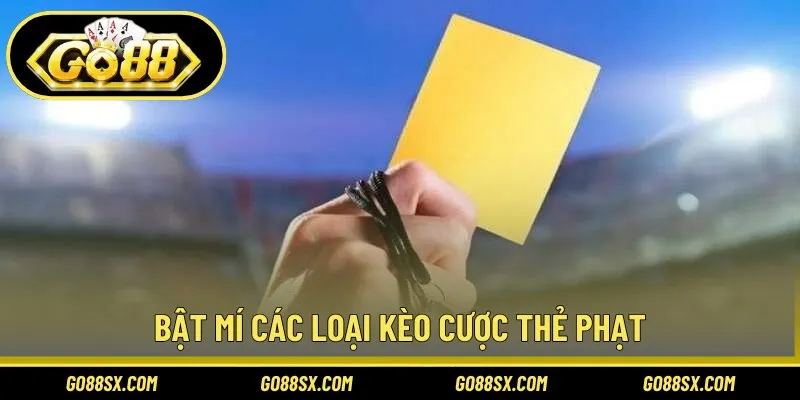 Tổng hợp các hình thức cơ bản cần nắm