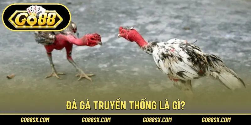 Hiểu đúng về đá gà truyền thống