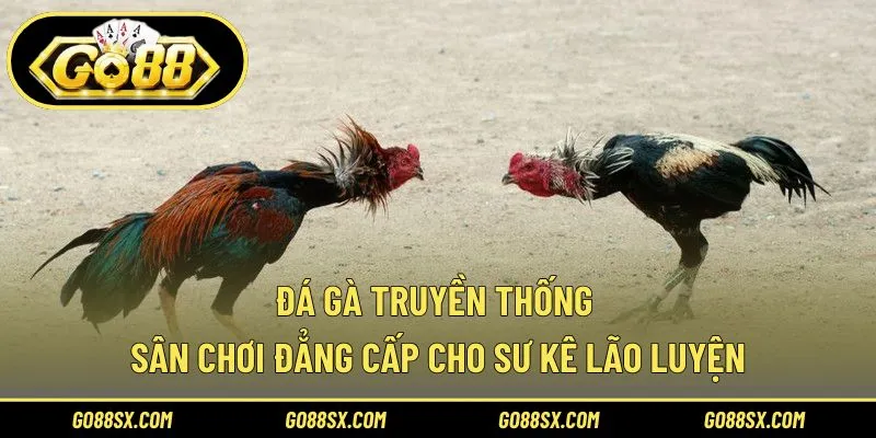Đá Gà Truyền Thống