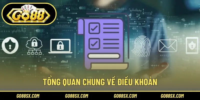 Đôi nét sơ lược về điều khoản