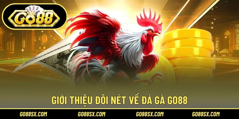 Sơ lược đôi nét về đá gà GO88