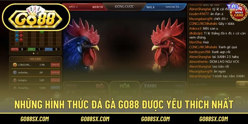 Top 3 hình thức đấu chọi được yêu thích nhất