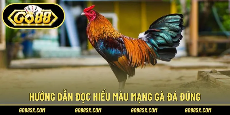 Kiến thức sâu về màu mệnh của gà đá