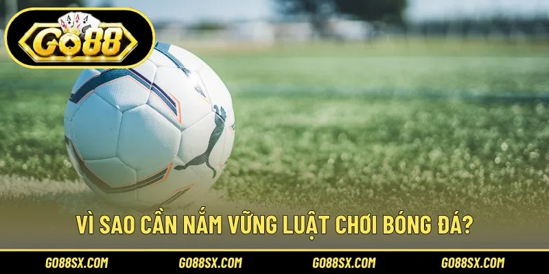 Lợi ích khi hiểu rõ luật chơi bóng đá