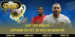 Luật Chơi Bóng Đá – Cẩm Nang Chi Tiết, Dễ Hiệu Cho Người Mới