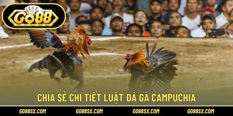 Quy tắc chung trong các trận đá gà Campuchia