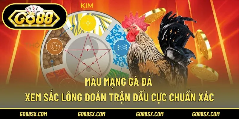 Màu Mạng Gà Đá