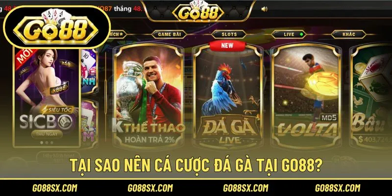 Ưu điểm của sản phẩm đá gà tại cổng game