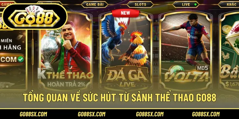 Khái quát vài nét về thể thao GO88