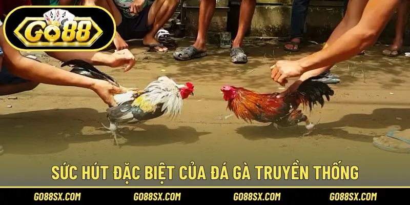 Lý do nhiều người thích đấu chọi truyền thống