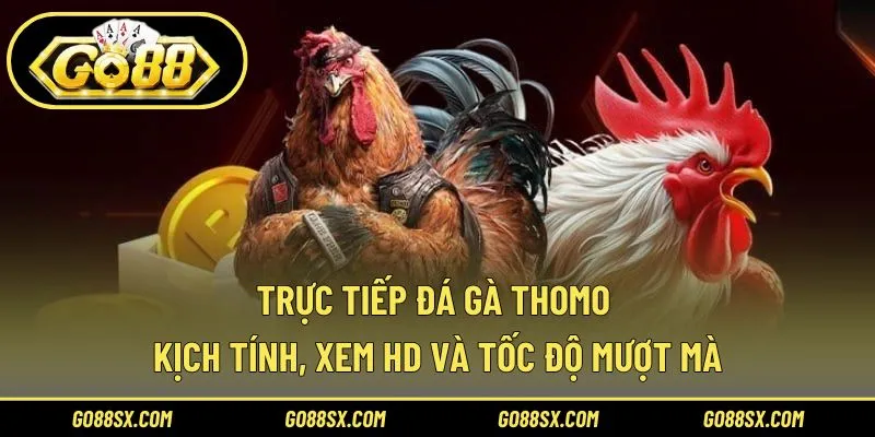 Trực Tiếp Đá Gà Thomo